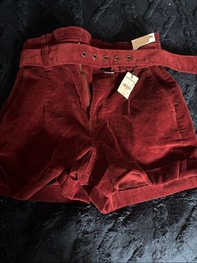 Express High-Waist Velvet Belted Shorts - Burgundy 00
